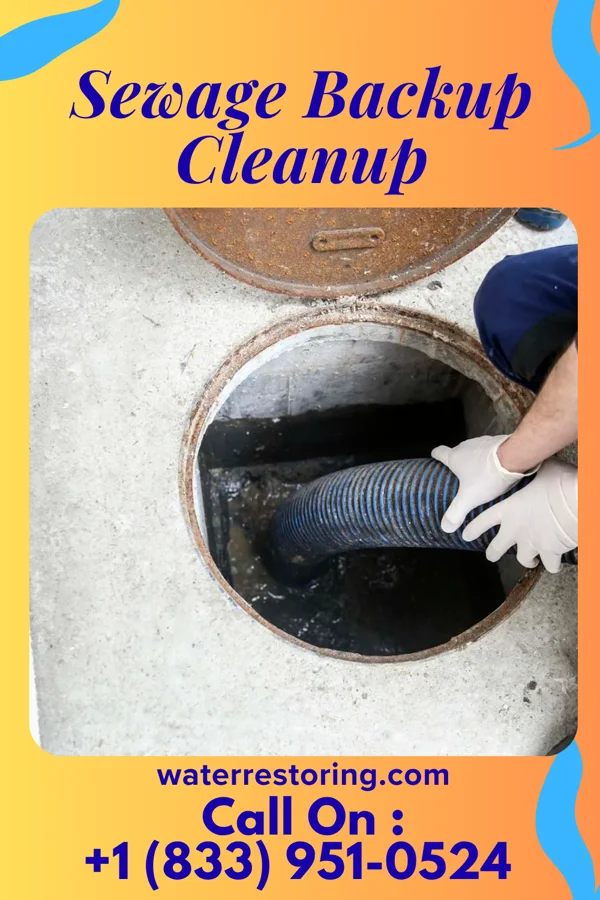 Sewage Backup Cleanup in Banks Lake South, WA